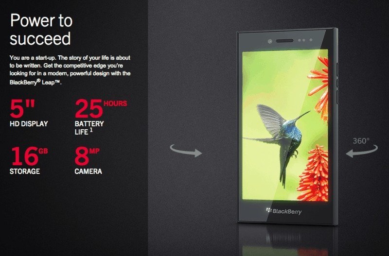 Blackberry Leap 1
