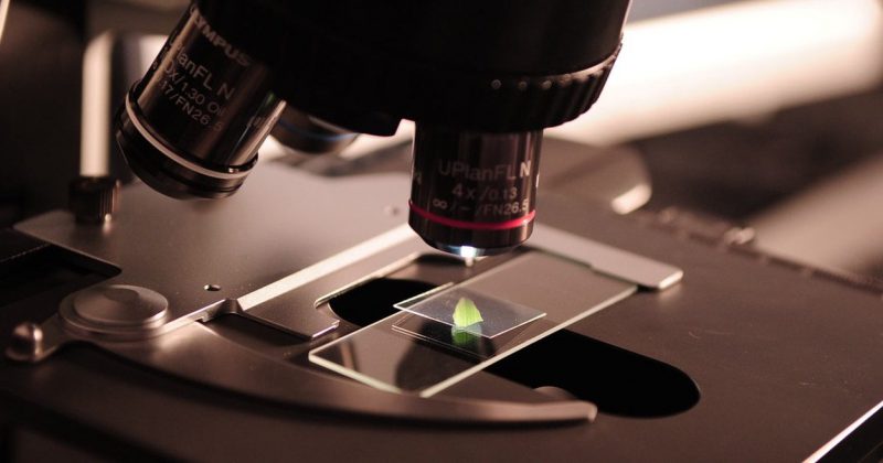 Ciencia